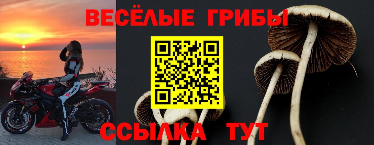 Галлюциногенные грибы мицелий Кулебаки