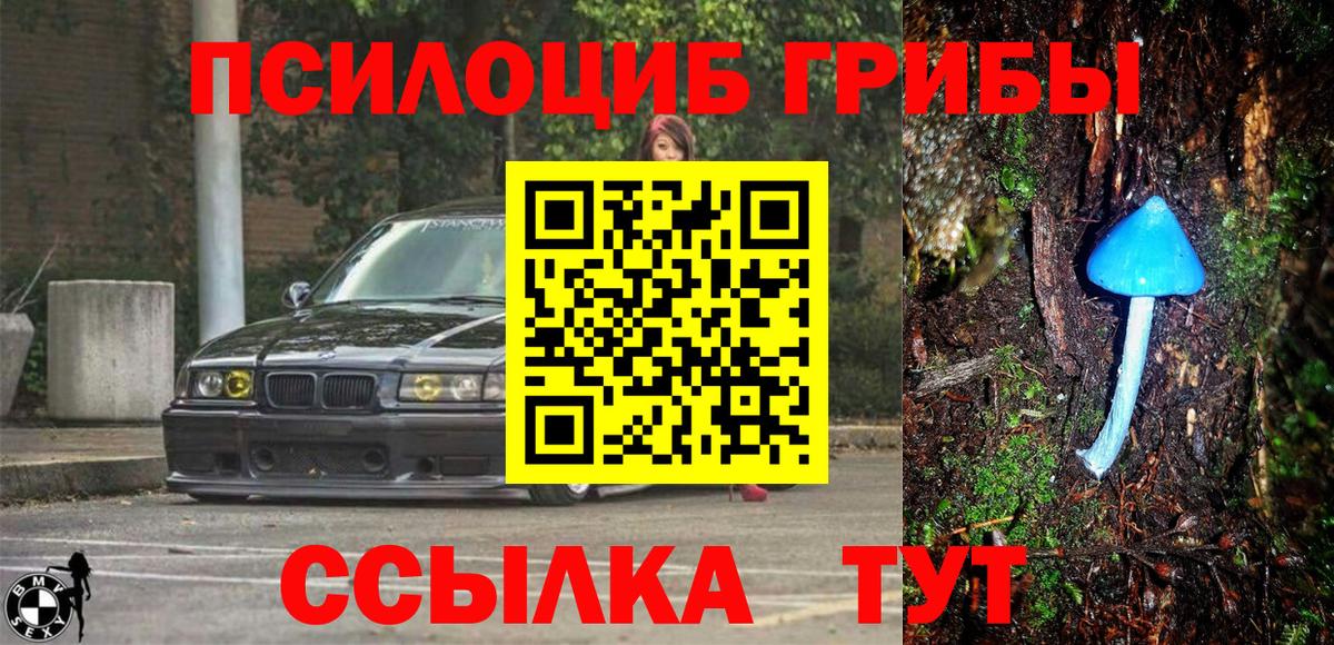 Кулебаки  Галлюциногенные грибы Magic Shrooms  Галлюциногенные грибы мухоморы  Вход с VPN 